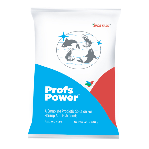 PROF POWER - 1 kg